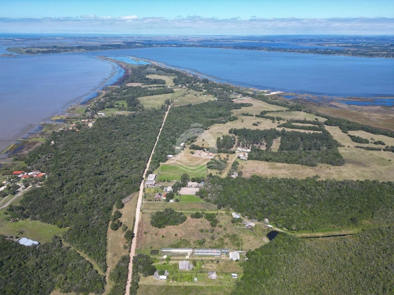 Sítio 3000m² terreno plano venda Faxinal Morro Alto Maquiné: 9ª foto da galeria de imagens do imóvel