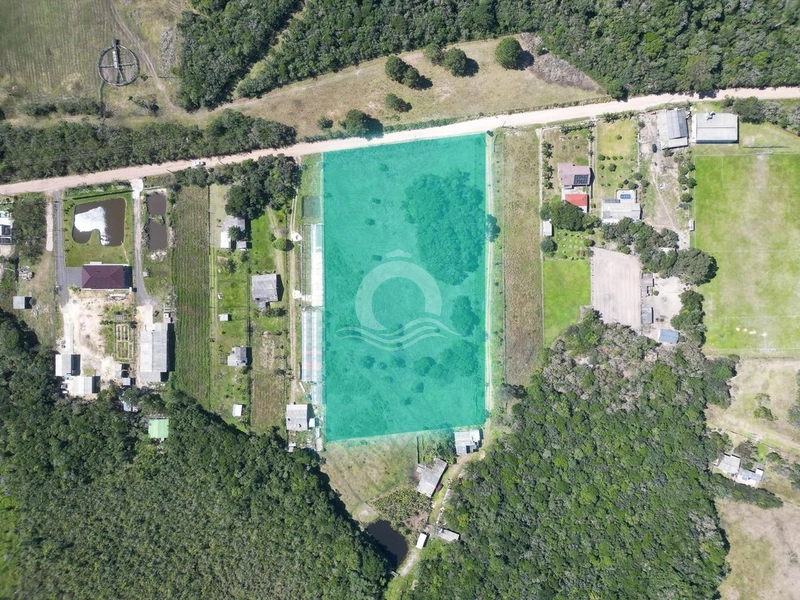 Sítio 3000m² terreno plano venda Faxinal Morro Alto Maquiné: 4ª foto da galeria de imagens do imóvel