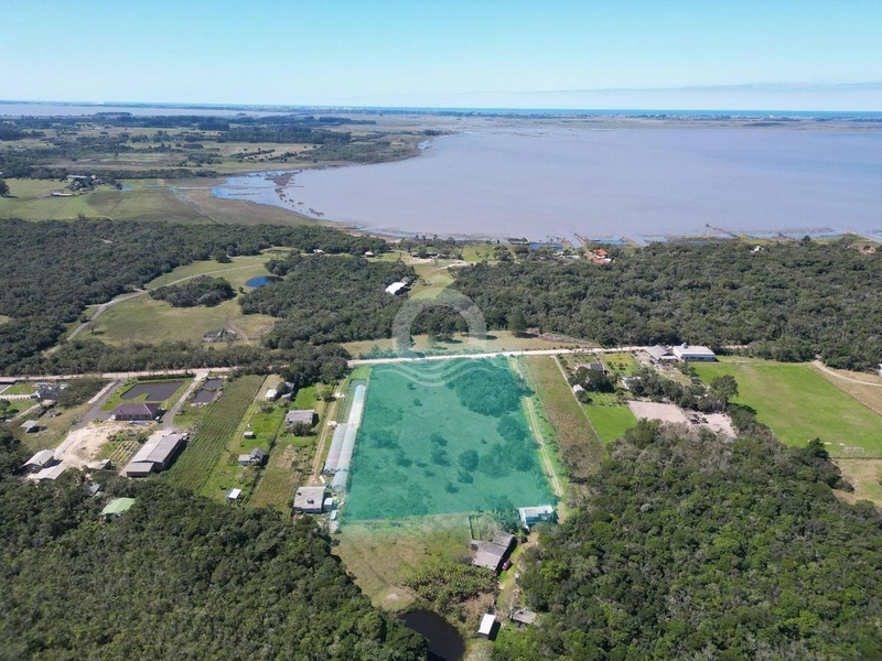 Sítio 3000m² terreno plano venda Faxinal Morro Alto Maquiné: 12ª foto da galeria de imagens do imóvel