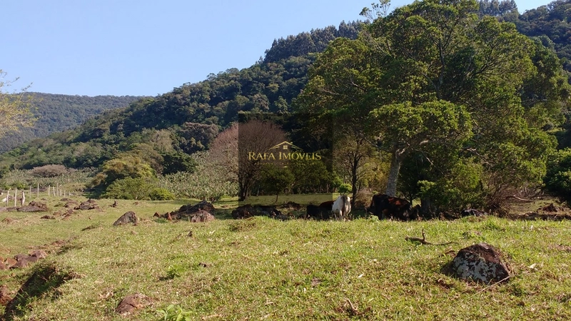 ÁREA EM TRÊS CACHOEIRAS: 5ª foto da galeria de imagens do imóvel