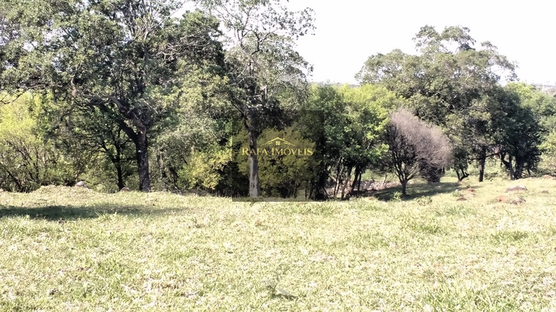 ÁREA EM TRÊS CACHOEIRAS: 6ª foto da galeria de imagens do imóvel
