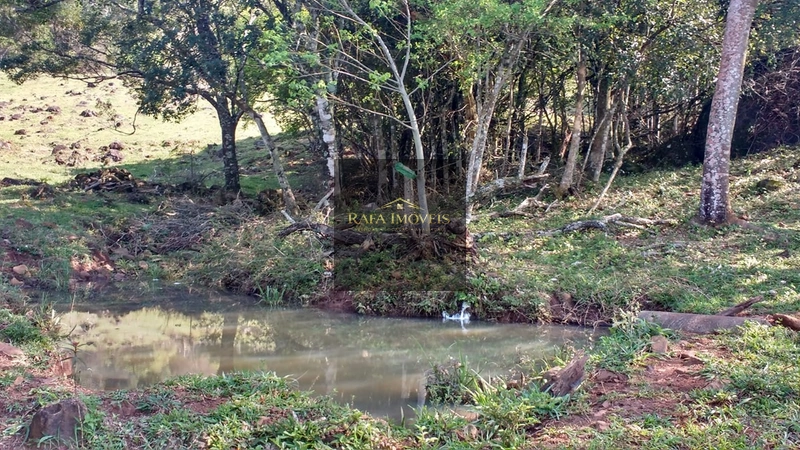 ÁREA EM TRÊS CACHOEIRAS: 4ª foto da galeria de imagens do imóvel