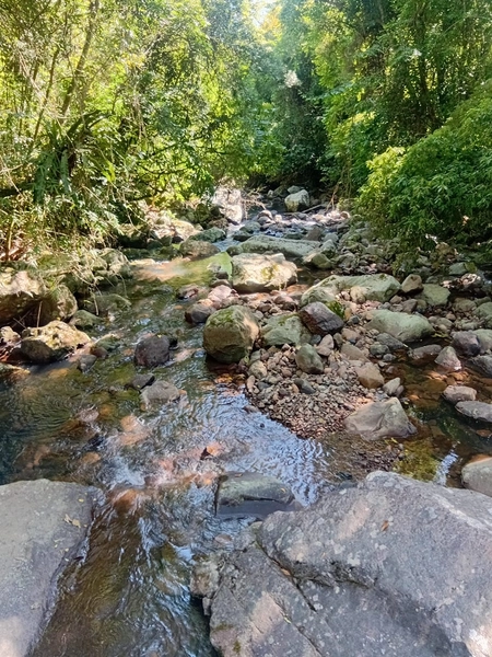 Refugio Tres Pinheiros: 3ª foto da galeria de imagens do imóvel
