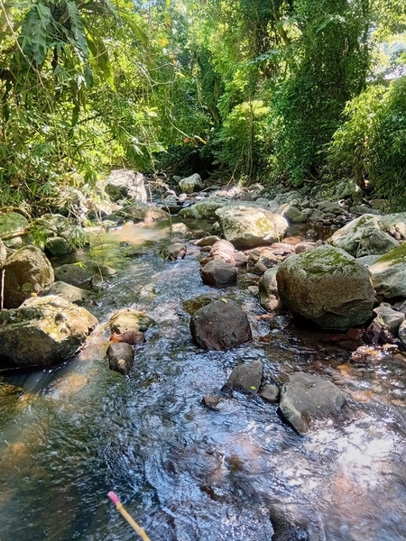 Refugio Tres Pinheiros: 4ª foto da galeria de imagens do imóvel