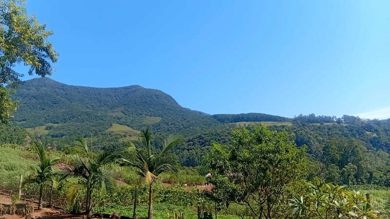 Refugio Tres Pinheiros: 15ª foto da galeria de imagens do imóvel