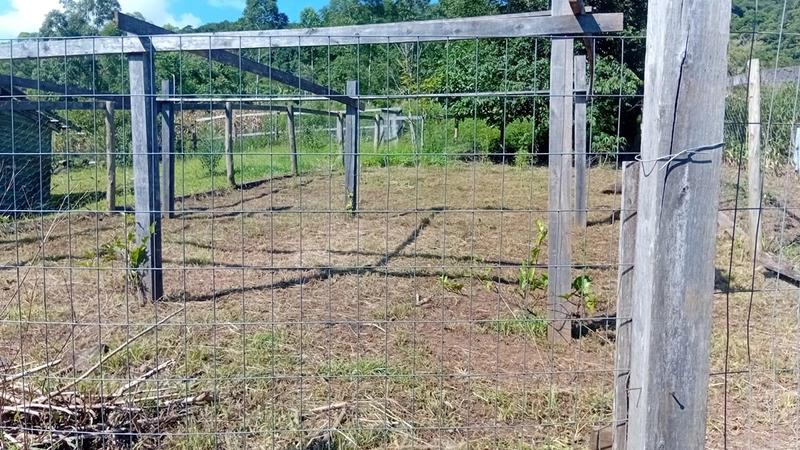 Refugio Tres Pinheiros: 11ª foto da galeria de imagens do imóvel