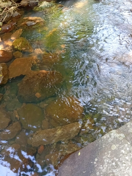Refugio Tres Pinheiros: 2ª foto da galeria de imagens do imóvel