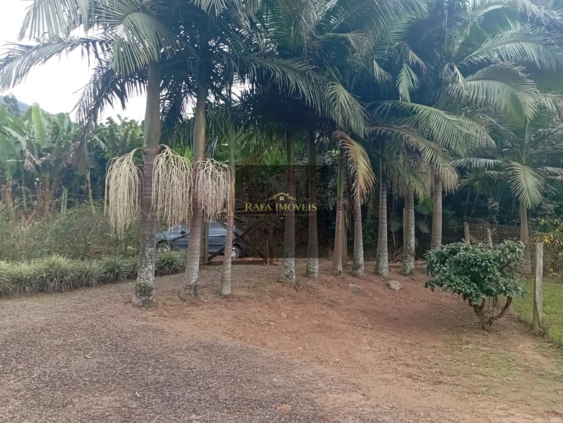 Sítio do 3 Pinheiros: 12ª foto da galeria de imagens do imóvel