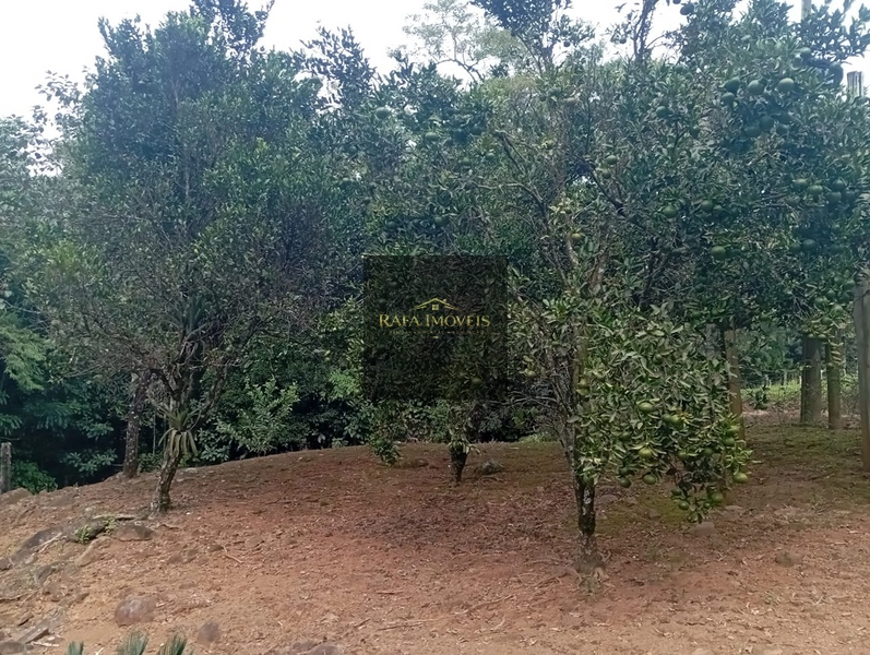 Sítio do 3 Pinheiros: 20ª foto da galeria de imagens do imóvel