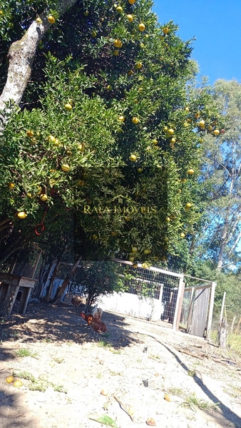 CHACARA : 3ª foto da galeria de imagens do imóvel