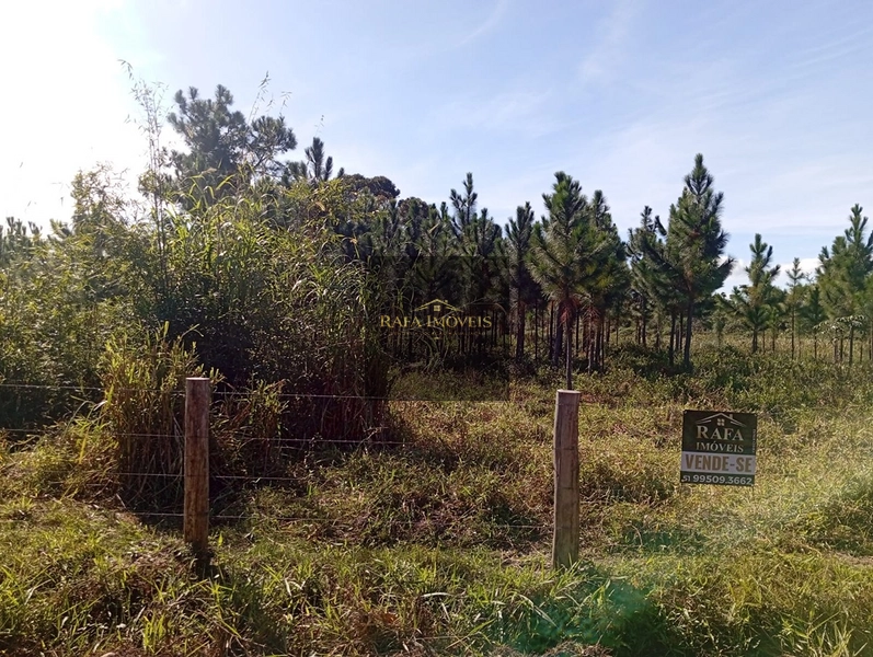 ÁREA: 1ª foto da galeria de imagens do imóvel