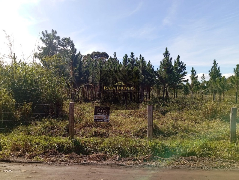 ÁREA: 2ª foto da galeria de imagens do imóvel