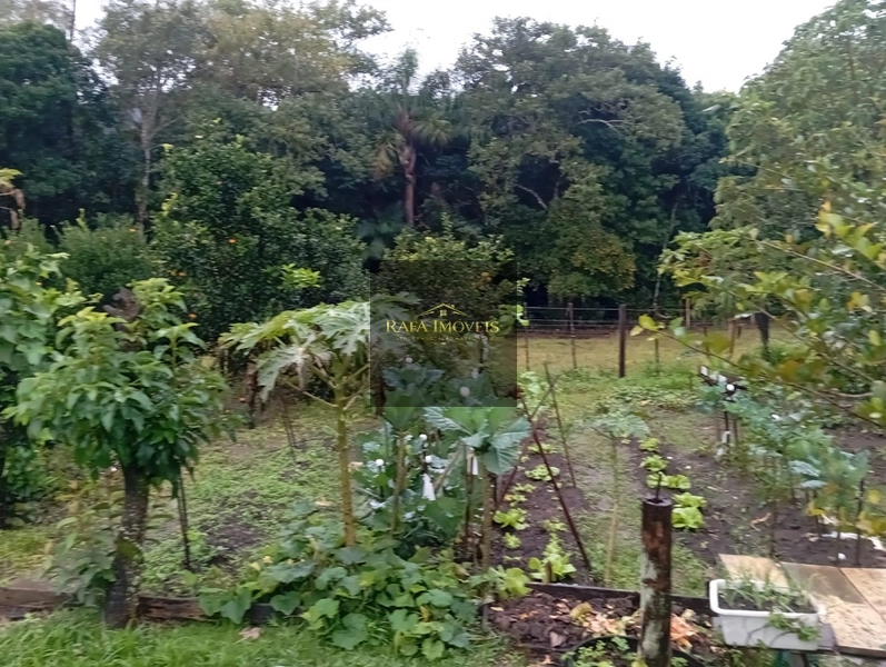 CASA DE SÍTIO: 9ª foto da galeria de imagens do imóvel