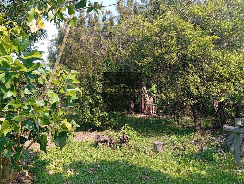 CHACARA: 15ª foto da galeria de imagens do imóvel