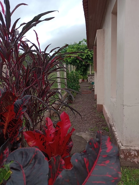 Casa em Itati: 17ª foto da galeria de imagens do imóvel