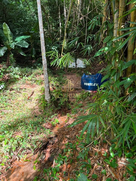 Uma propriedade completa para morar, investir ou aproveitar a vida no campo: 31ª foto da galeria de imagens do imóvel