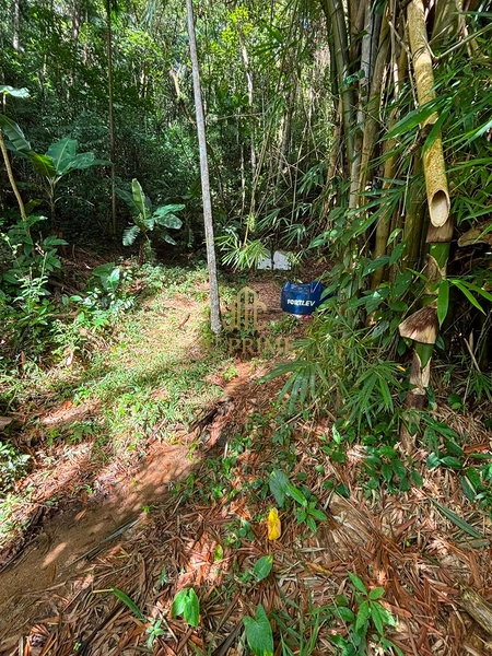 Uma propriedade completa para morar, investir ou aproveitar a vida no campo: 30ª foto da galeria de imagens do imóvel