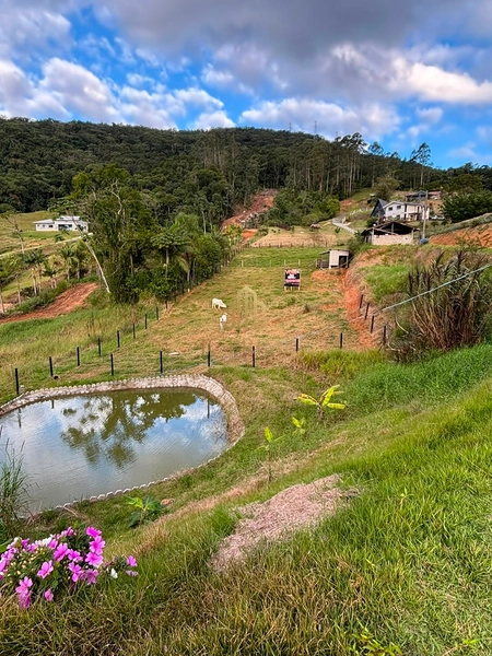 Área Rural com Lagoa – 3.728 m² | Próximo à BR-101 e Contorno Viário: 9ª foto da galeria de imagens do imóvel