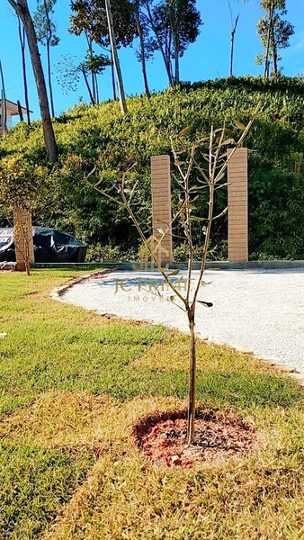 Casa Térrea de Alto Padrão com 3 Dormitórios e Amplo Terreno no Centro de Antônio Carlos/SC: 3ª foto da galeria de imagens do imóvel