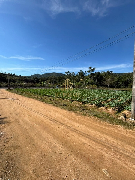 Excelente oportunidade em Antônio Carlos!: 8ª foto da galeria de imagens do imóvel