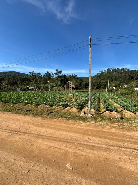 Excelente oportunidade em Antônio Carlos!: 7ª foto da galeria de imagens do imóvel