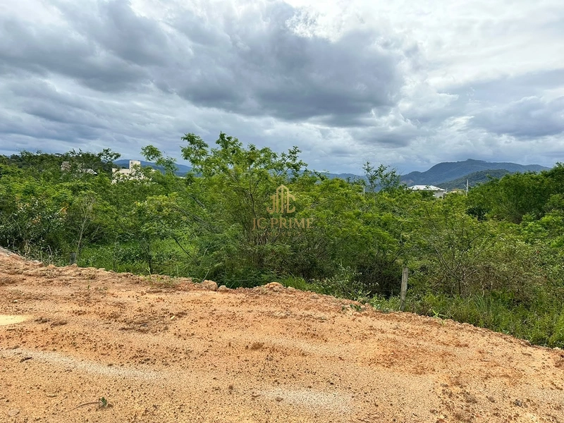 🏡 LOTE NO LOTEAMENTO BREMEN — PRONTO PARA CONSTRUIR!: 5ª foto da galeria de imagens do imóvel