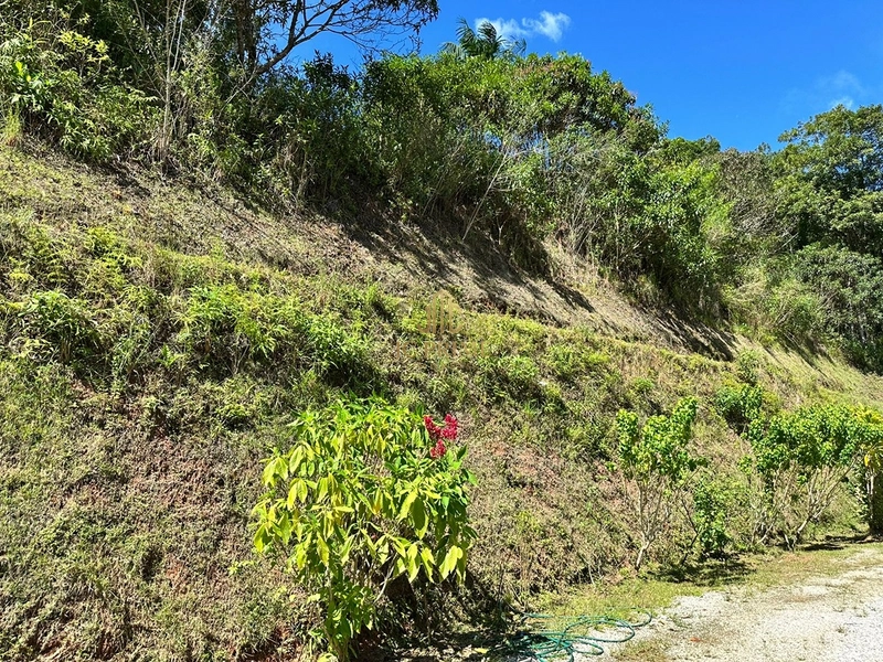 Viva com espaço e tranquilidade: 4.400m² com casa ampla e área gourmet: 7ª foto da galeria de imagens do imóvel