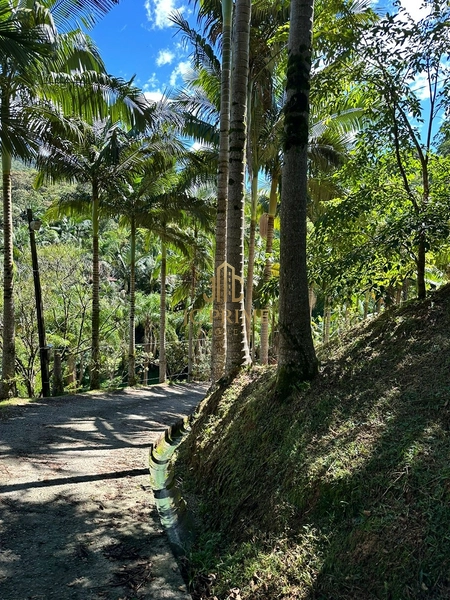 Viva com espaço e tranquilidade: 4.400m² com casa ampla e área gourmet: 5ª foto da galeria de imagens do imóvel