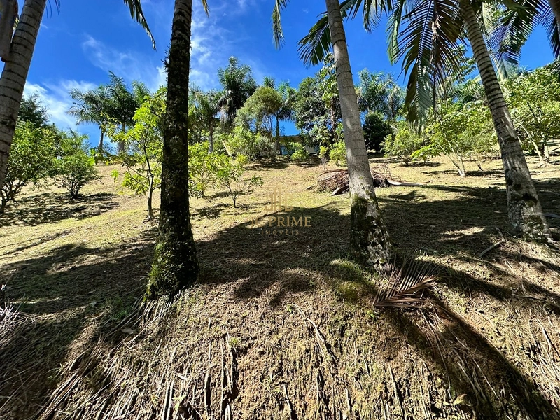 Viva com espaço e tranquilidade: 4.400m² com casa ampla e área gourmet: 3ª foto da galeria de imagens do imóvel