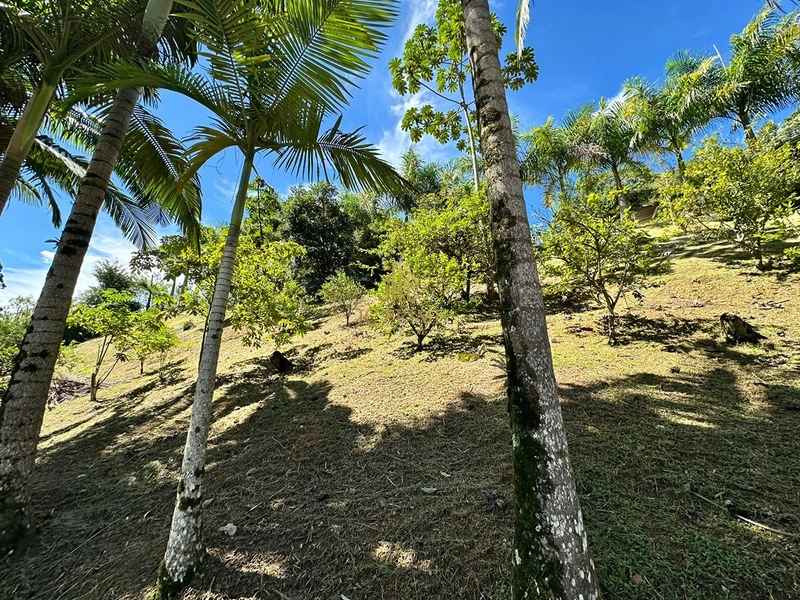 Viva com espaço e tranquilidade: 4.400m² com casa ampla e área gourmet: 4ª foto da galeria de imagens do imóvel