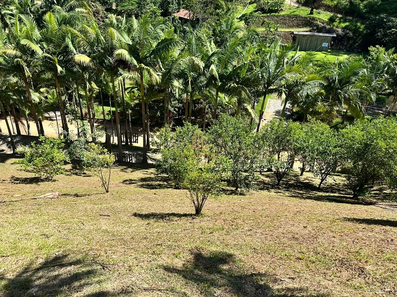 Viva com espaço e tranquilidade: 4.400m² com casa ampla e área gourmet: 6ª foto da galeria de imagens do imóvel