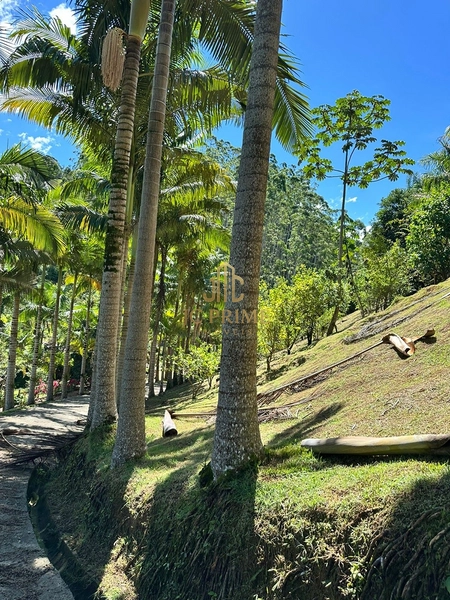 Viva com espaço e tranquilidade: 4.400m² com casa ampla e área gourmet: 2ª foto da galeria de imagens do imóvel