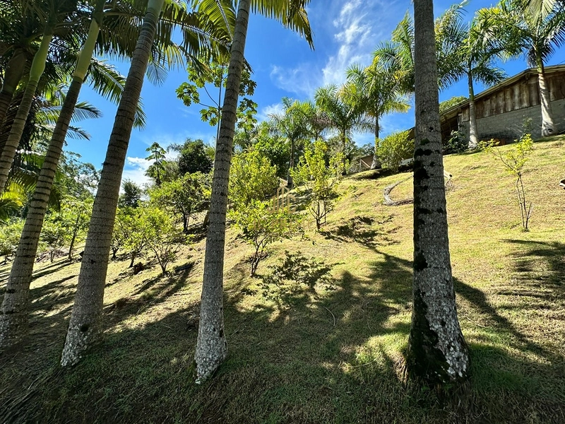 Viva com espaço e tranquilidade: 4.400m² com casa ampla e área gourmet: 1ª foto da galeria de imagens do imóvel