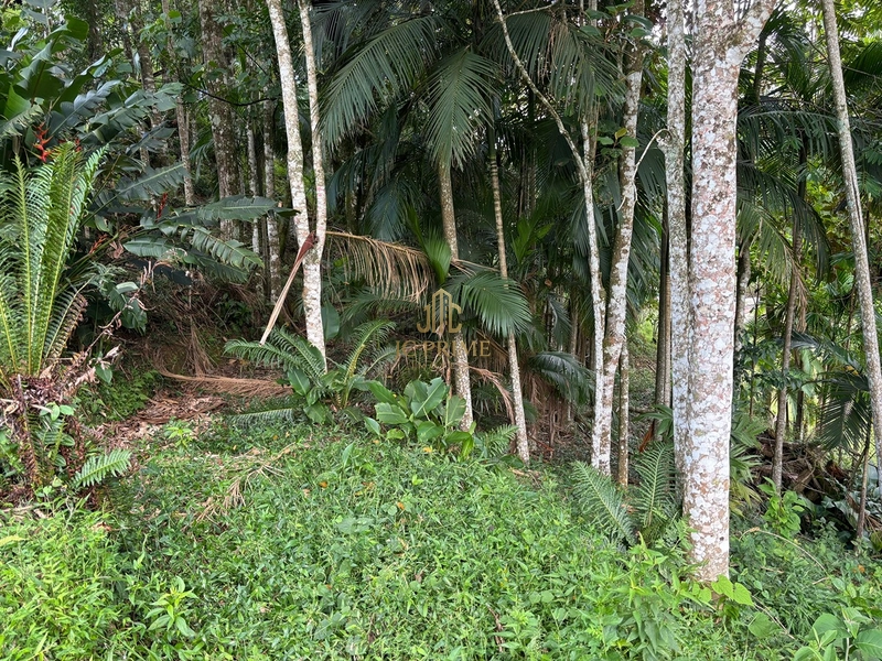 SÍTIO À VENDA | Vila Doze – Antônio Carlos/SC: 8ª foto da galeria de imagens do imóvel