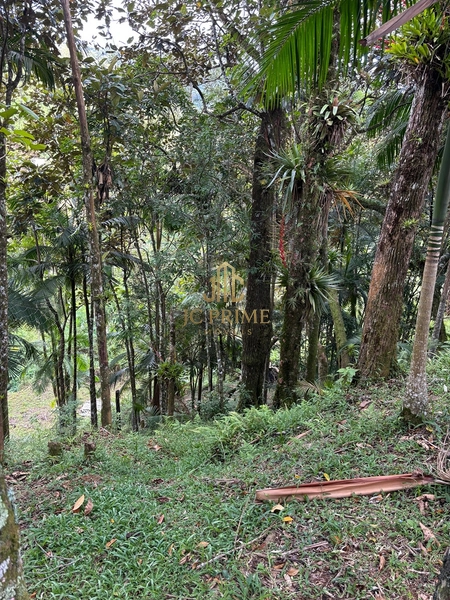 SÍTIO À VENDA | Vila Doze – Antônio Carlos/SC: 7ª foto da galeria de imagens do imóvel