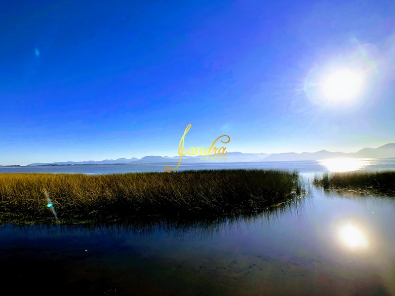 lote vista eterna Lagoa: 4ª foto da galeria de imagens do imóvel