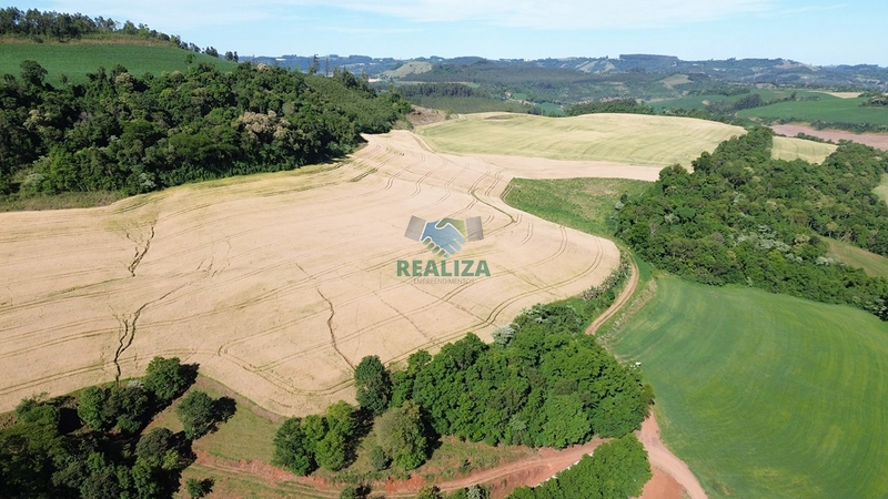 PROPRIEDADE RURAL: 4ª foto da galeria de imagens do imóvel