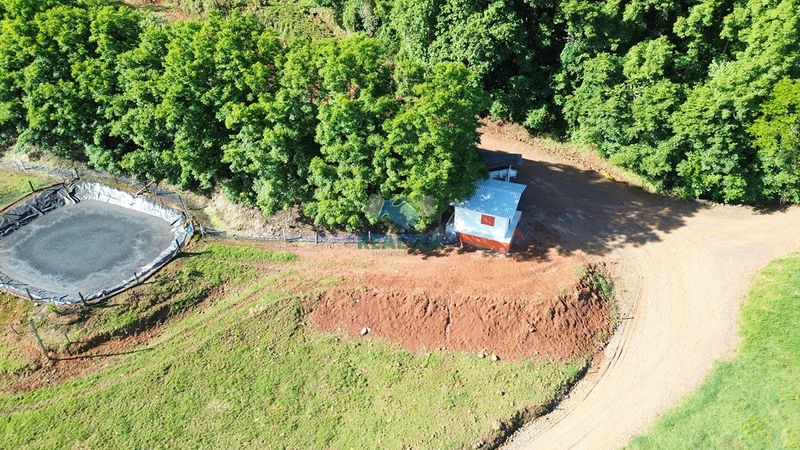 PROPRIEDADE RURAL: 12ª foto da galeria de imagens do imóvel