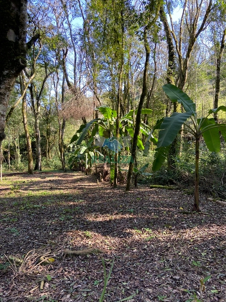 CHÁCARA : 4ª foto da galeria de imagens do imóvel