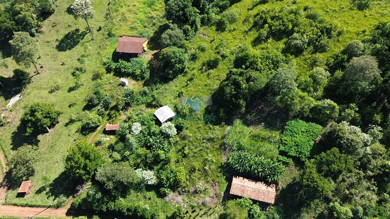 PROPRIEDADE RURAL: 6ª foto da galeria de imagens do imóvel