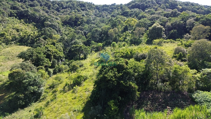PROPRIEDADE RURAL: 7ª foto da galeria de imagens do imóvel