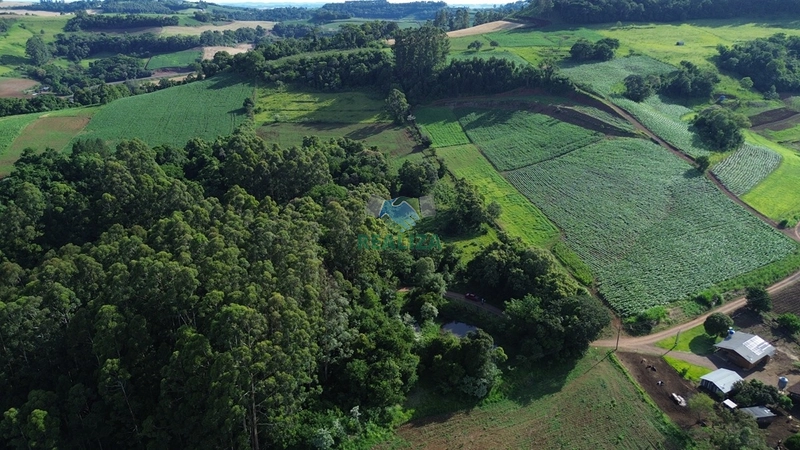 ÁREA DE TERRA: 4ª foto da galeria de imagens do imóvel