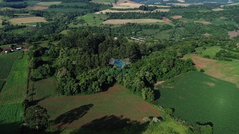 ÁREA DE TERRA: 2ª foto da galeria de imagens do imóvel