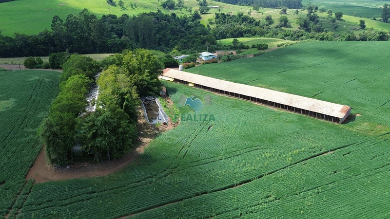 ÁREA DE TERRA: 5ª foto da galeria de imagens do imóvel