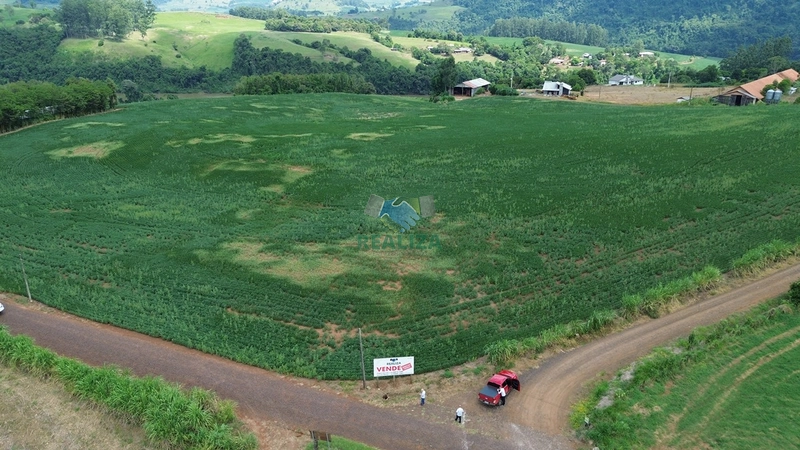 ÁREA DE TERRA: 3ª foto da galeria de imagens do imóvel