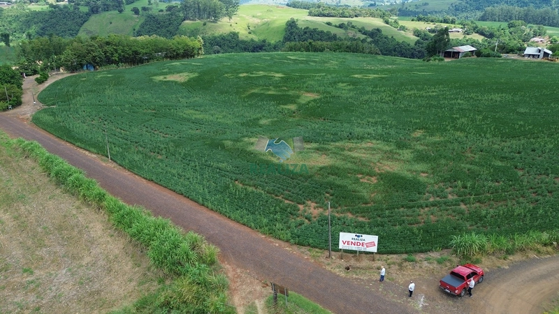 ÁREA DE TERRA: 4ª foto da galeria de imagens do imóvel