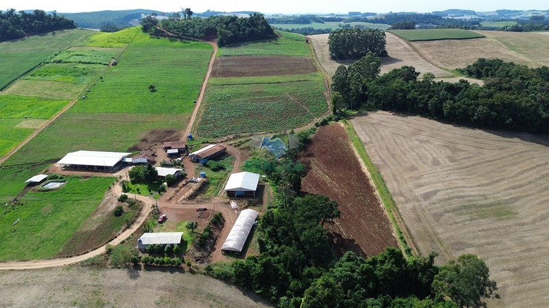 PROPRIEDADE RURAL: 3ª foto da galeria de imagens do imóvel