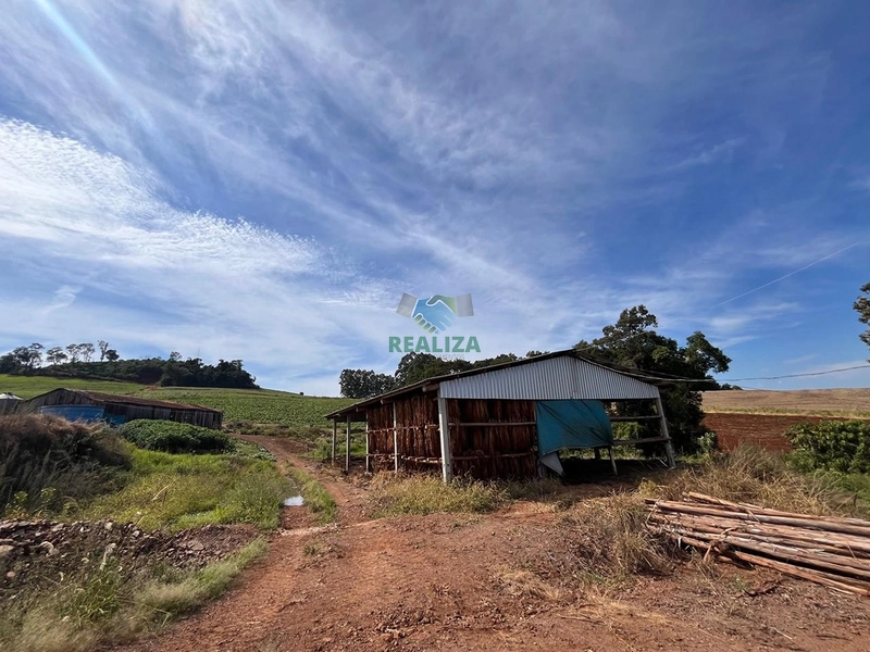 PROPRIEDADE RURAL: 11ª foto da galeria de imagens do imóvel