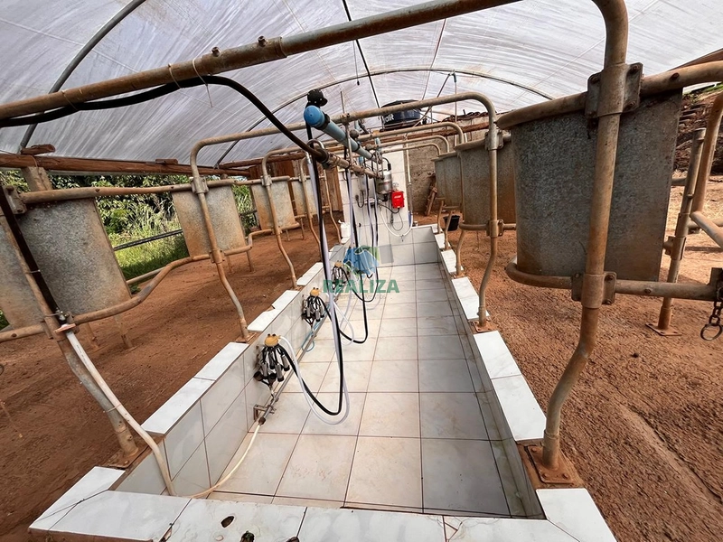 PROPRIEDADE RURAL: 16ª foto da galeria de imagens do imóvel