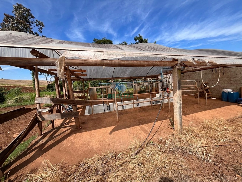 PROPRIEDADE RURAL: 14ª foto da galeria de imagens do imóvel